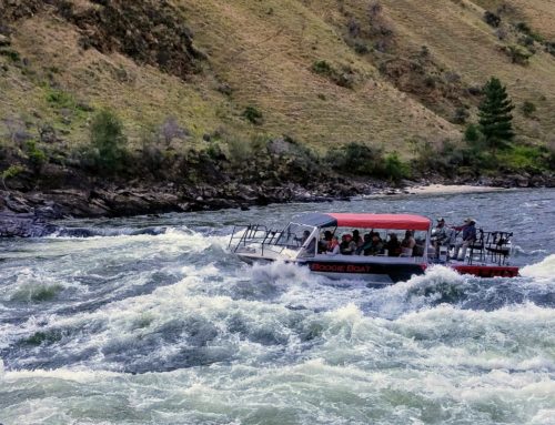 Team Building With Jet Boat Tours in Hells Canyon