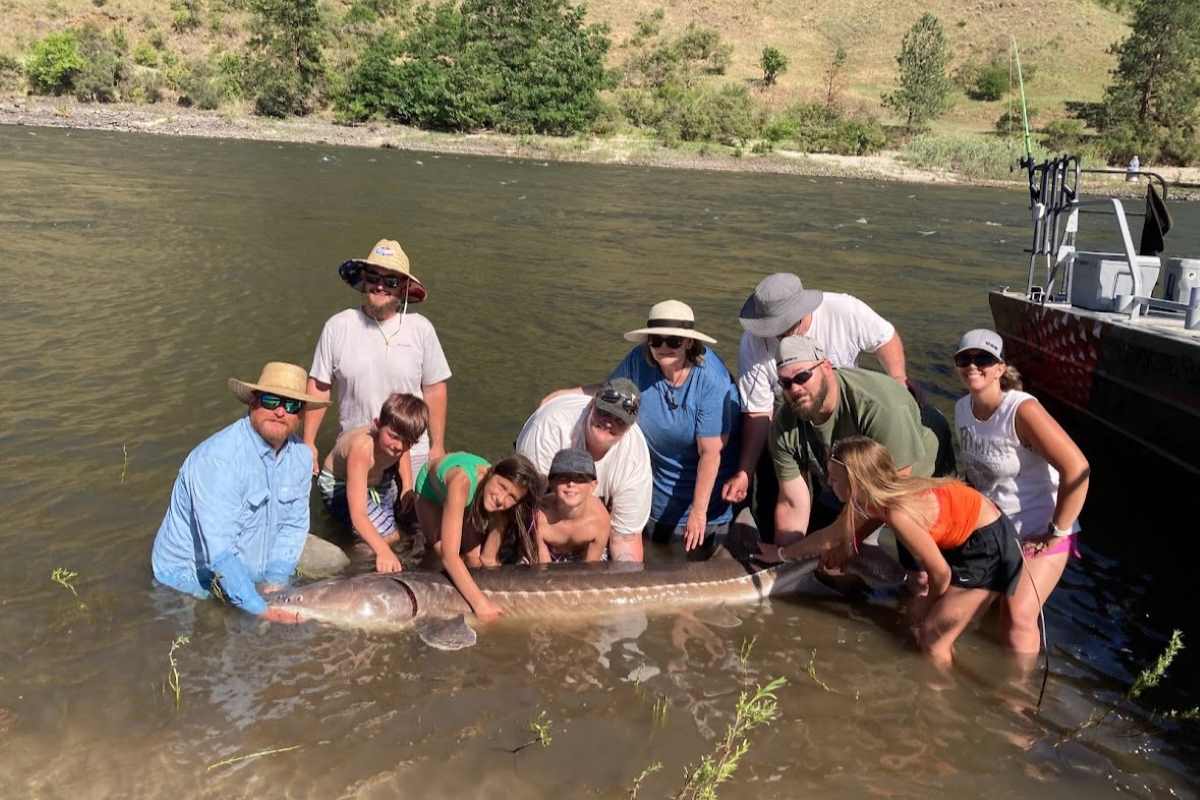 Winter Steelhead Fishing Season – The Best Time of the Year! - Hammer Down  HD River Excursions